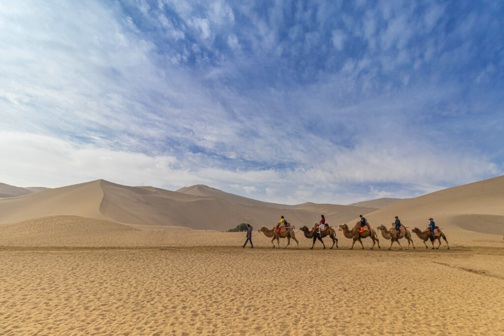 Camel Safari in Jaisalmer